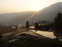 Les terrasses de riz de Yuanyang